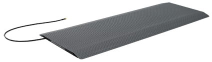 RAM3031